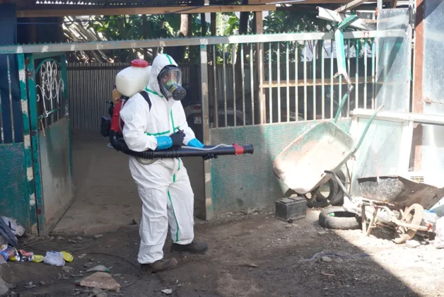 Chikungunya à Mayotte : les agents sanitaires sur le front