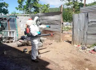 Chikungunya à Mayotte : les agents sanitaires sur le front Chikungunya à Mayotte : les agents sanitaires sur le front