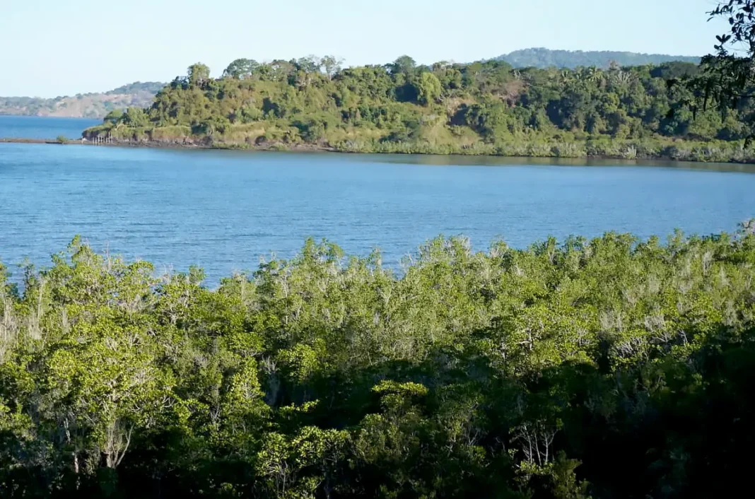 L’usine de dessalement d’Ironi Bé toujours dans le viseur du collectif « Un lagon sans poison ! »
