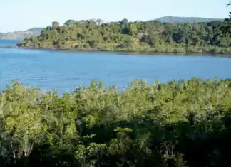 L’usine de dessalement d’Ironi Bé toujours dans le viseur du collectif « Un lagon sans poison ! » L’usine de dessalement d’Ironi Bé toujours dans le viseur du collectif « Un lagon sans poison ! »