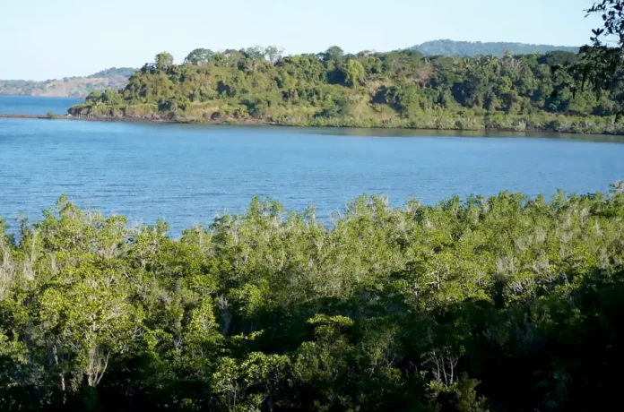 L’usine de dessalement d’Ironi Bé toujours dans le viseur du collectif « Un lagon sans poison ! »