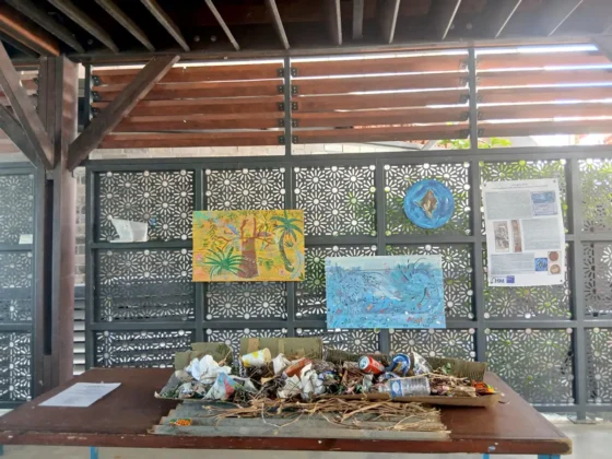 Chido : un « double traumatisme pour la population de Mayotte » selon une psychiatre du CHM