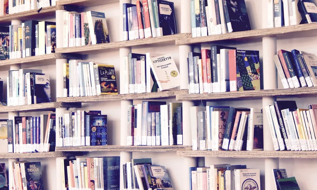 Fête de clôture du projet de l’agence nationale du livre ce samedi à M’roalé