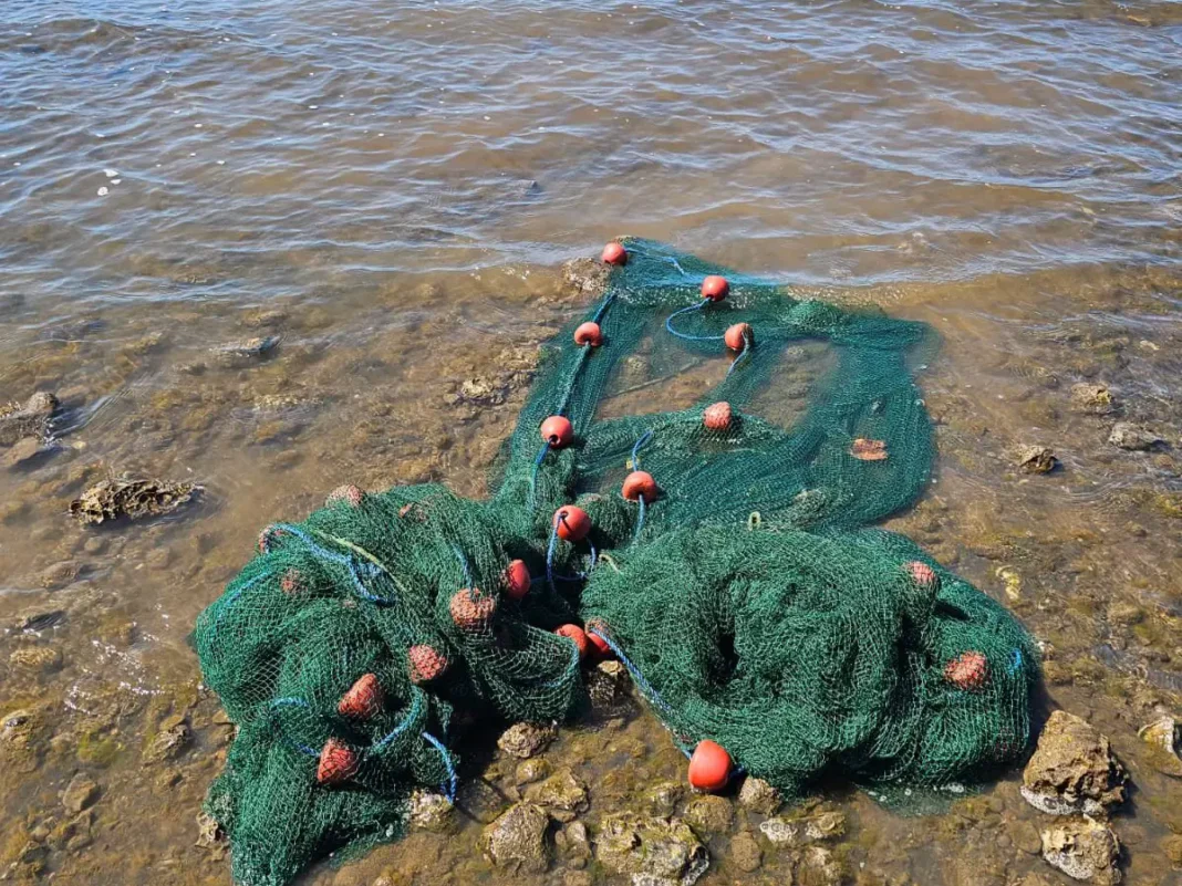 La CCSud rappelle les interdictions en matière de pêche.