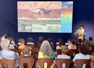 Le lagon de Mayotte mis en avant à la Conférence des Nations Unies sur l’Océan Le lagon de Mayotte mis en avant à la Conférence des Nations Unies sur l’Océan