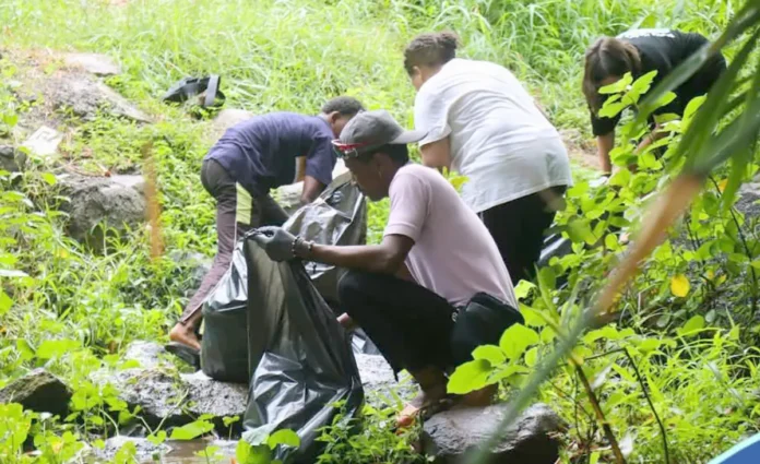 Mayotte Nature Environnement restaure les cours d'eau pour protéger une espèce de poisson endémique