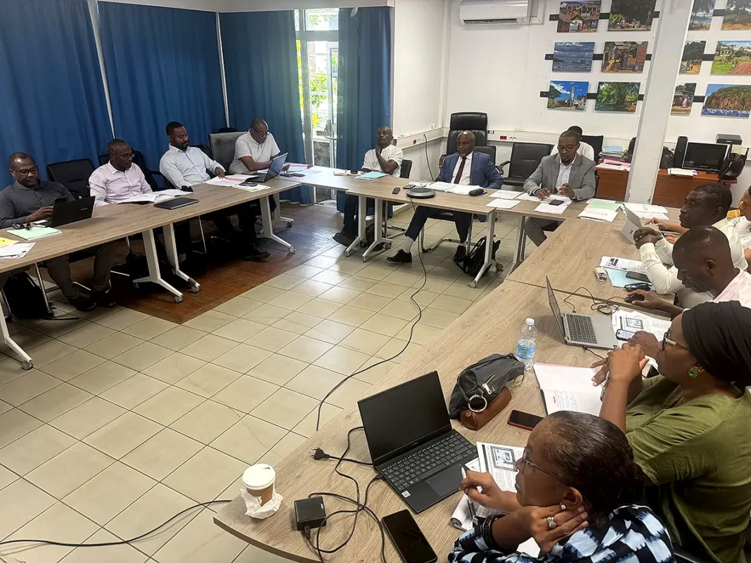 Les recommandations du Cesem pour la mise en place de la convergence économique et sociale à Mayotte