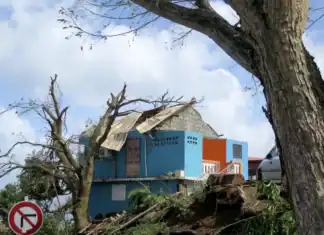 Reconstruction : six mois après Chido, les Mahorais toujours debout, malgré tout Reconstruction : six mois après Chido, les Mahorais toujours debout, malgré tout