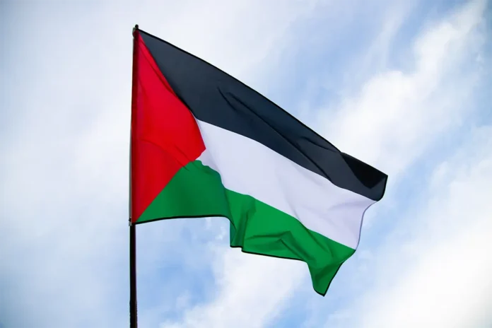 Une marche solidaire pour Gaza à Mamoudzou