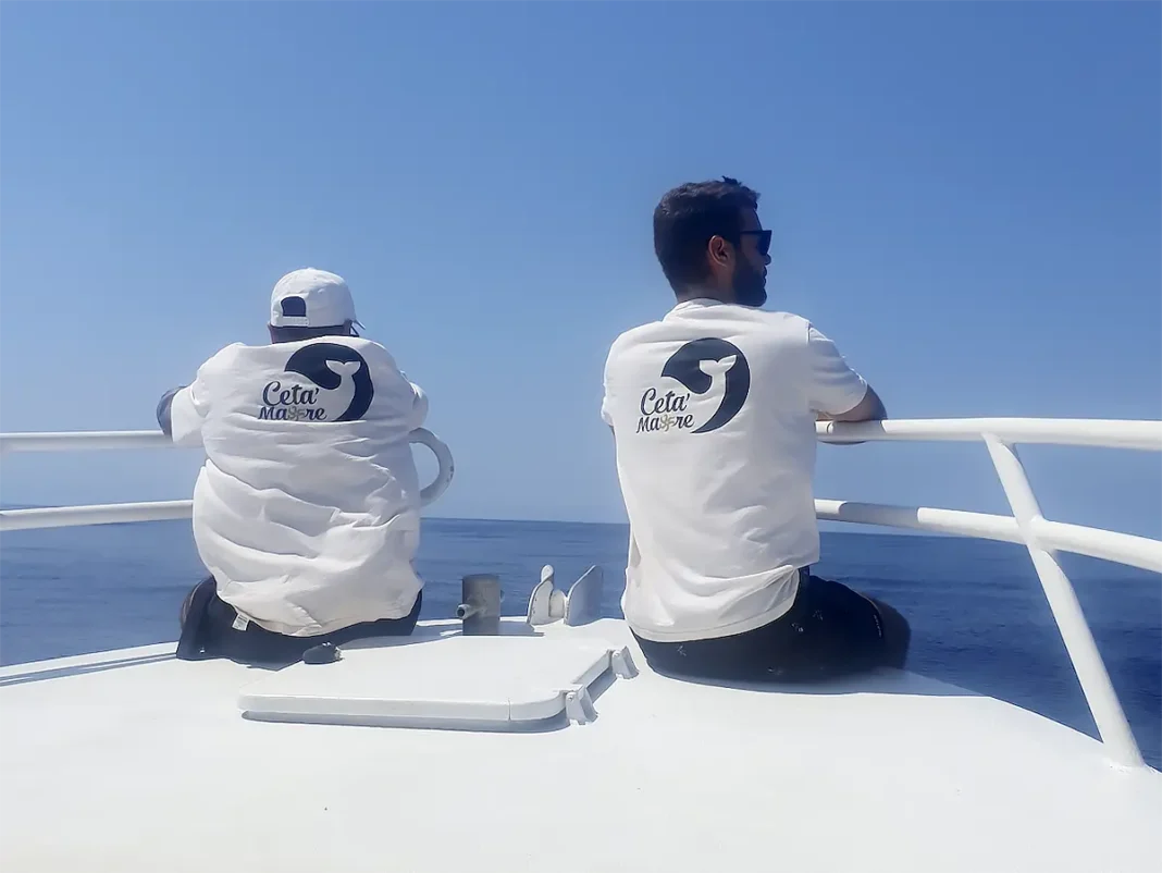 Une nouvelle session de formation pour observer les mammifères marins