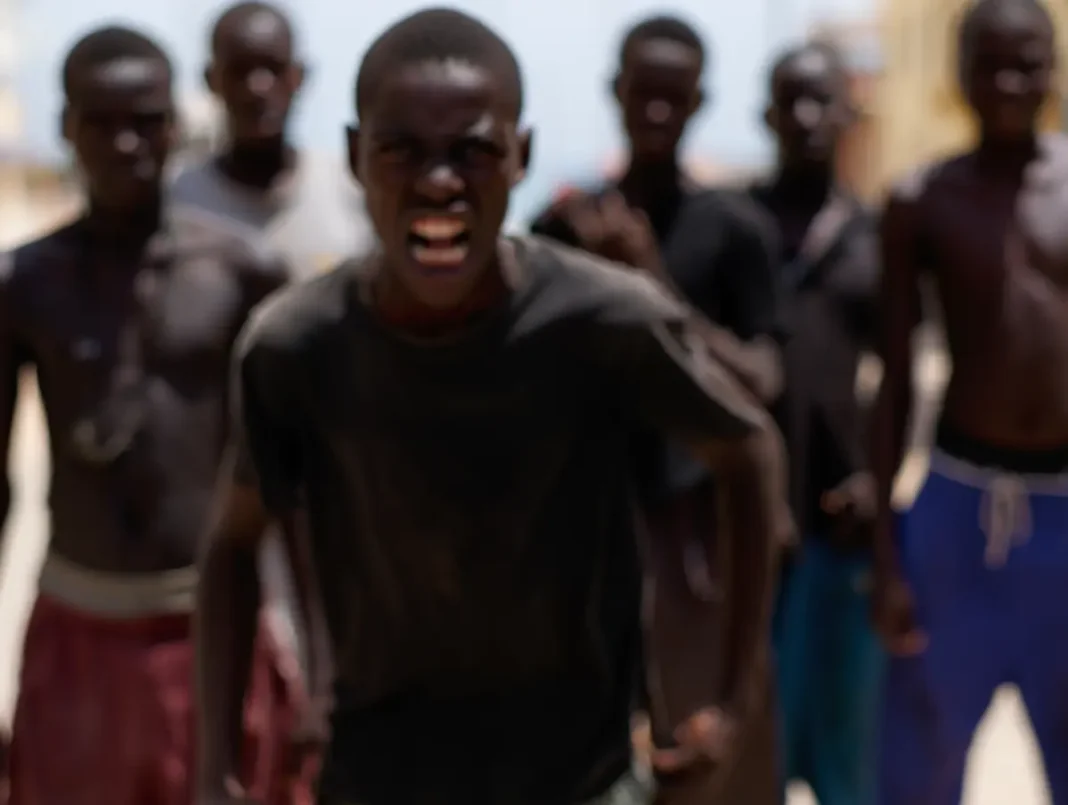 Violences en Petite-Terre : plusieurs individus interpellés