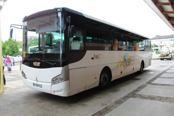 Ouverture des ventes de cartes de transport scolaire halO’ à partir du 1er juillet