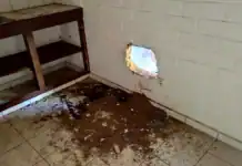 Gestion de la SIM : une fonctionnaire porte plainte pour « mise en danger de la vie d’autrui » Gestion de la SIM : une fonctionnaire porte plainte pour « mise en danger de la vie d’autrui »