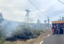 Incendie à Ironi-Bé : près de 3 hectares partis en fumée, la RN2 fermée plusieurs heures Incendie à Ironi-Bé : près de 3 hectares partis en fumée, la RN2 fermée plusieurs heures
