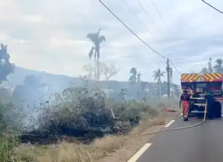 Incendie à Ironi-Bé : près de 3 hectares partis en fumée, la RN2 fermée plusieurs heures Incendie à Ironi-Bé : près de 3 hectares partis en fumée, la RN2 fermée plusieurs heures