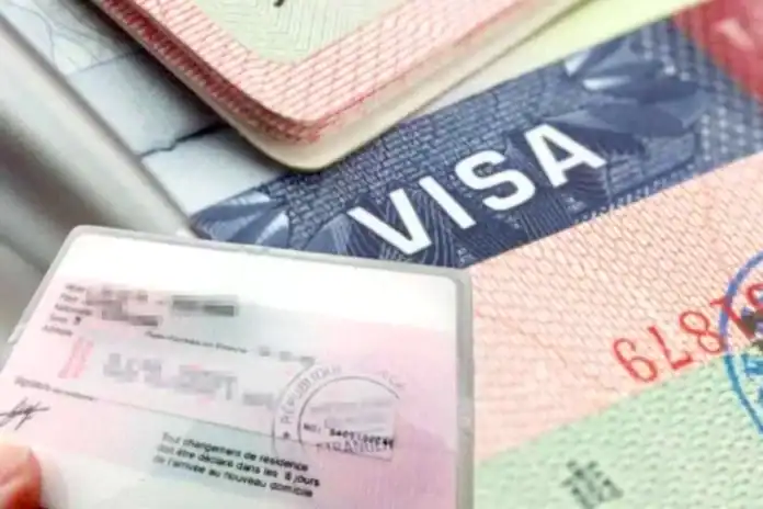 Mention Très Bien, mais l’attente d’un titre de séjour freine les rêves de Fazdati Mention Très Bien, mais l’attente d’un titre de séjour freine les rêves de Fazdati