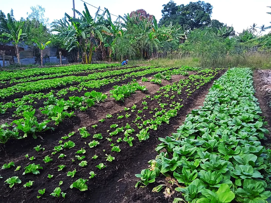 Un appel à projets pour renforcer les coopératives et groupements agricoles
