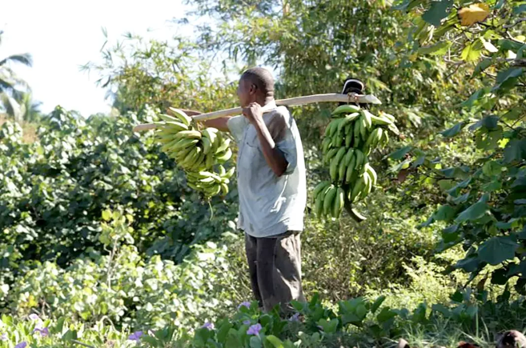 une opportunité pour les agriculteurs avec l’appel à projets de l’EPFAM