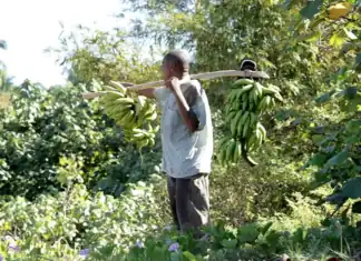 une opportunité pour les agriculteurs avec l’appel à projets de l’EPFAM une opportunité pour les agriculteurs avec l’appel à projets de l’EPFAM
