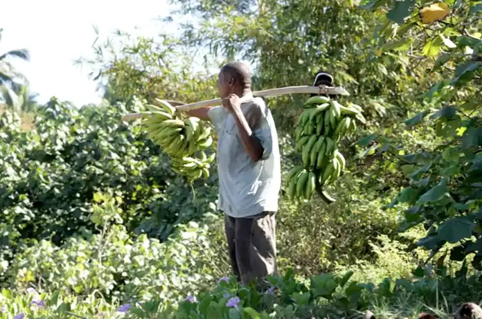 une opportunité pour les agriculteurs avec l’appel à projets de l’EPFAM une opportunité pour les agriculteurs avec l’appel à projets de l’EPFAM