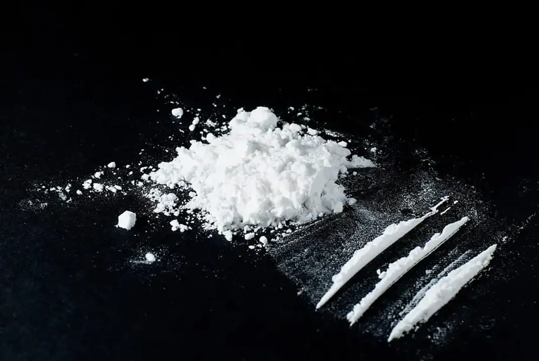 300 grammes de cocaïne saisis : un suspect interpellé près de la gare maritime