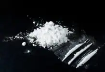 300 grammes de cocaïne saisis à Mayotte : un suspect interpellé près de la gare maritime 300 grammes de cocaïne saisis : un suspect interpellé près de la gare maritime