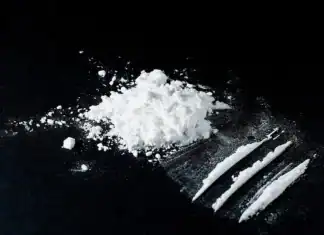 300 grammes de cocaïne saisis à Mayotte : un suspect interpellé près de la gare maritime 300 grammes de cocaïne saisis : un suspect interpellé près de la gare maritime