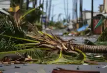 Assurances à Mayotte : un dossier sous surveillance préfectorale Assurances à Mayotte : un dossier sous surveillance préfectorale