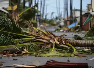 Assurances à Mayotte : un dossier sous surveillance préfectorale Assurances à Mayotte : un dossier sous surveillance préfectorale