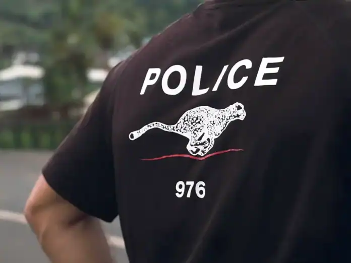 Deux policiers placés en détention provisoire après des accusations de viol