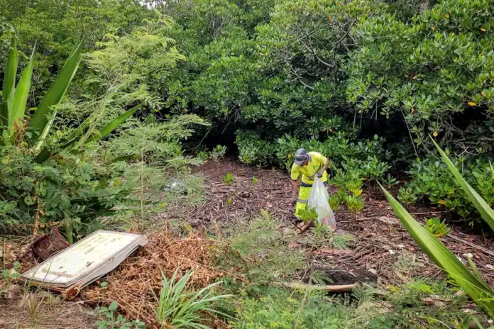 Journée citoyenne de nettoyage des mangroves et rivières à Mangajou