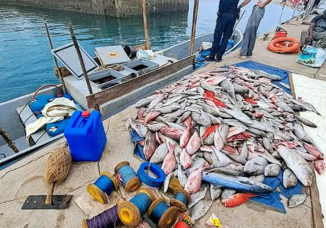 L’accord OMC sur les subventions à la pêche entre en vigueur
