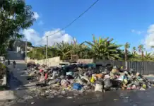 Le Sidevam a commencé le traitement des déchets verts depuis 2 mois Le Sidevam a commencé le traitement des déchets verts depuis 2 mois