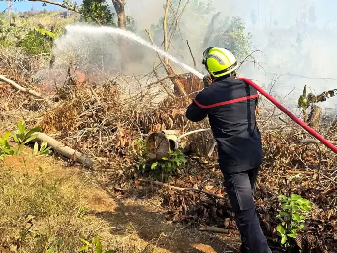 Mayotte : feux de forêt à Ouangani et Tréléni, intervention des SDIS