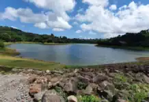 À Dzoumogné, une eau que plus personne ne veut boire À Dzoumogné, une eau que plus personne ne veut boire