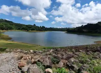 À Dzoumogné, une eau que plus personne ne veut boire À Dzoumogné, une eau que plus personne ne veut boire