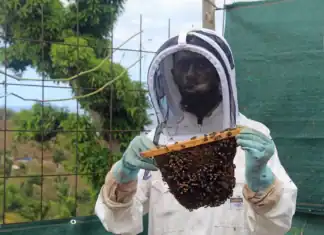 À Mayotte, un miel raffiné au service de la nature À Mayotte, un miel raffiné au service de la nature
