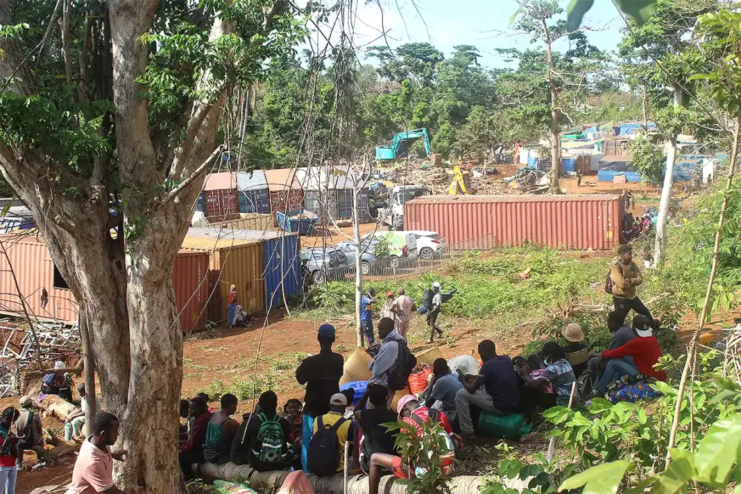 Immigration illégale à Mayotte : lâchés dans la nature, qu’adviendra-t-il d’eux ?