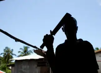 Le procès en appel du meurtre de Steven Z replonge Petite-Terre dans la guerre des bandes Le procès en appel du meurtre de Steven Z replonge Petite-Terre dans la guerre des bandes