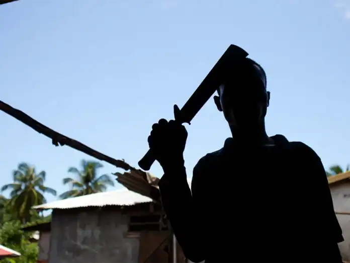 Le procès en appel du meurtre de Steven Z replonge Petite-Terre dans la guerre des bandes Le procès en appel du meurtre de Steven Z replonge Petite-Terre dans la guerre des bandes