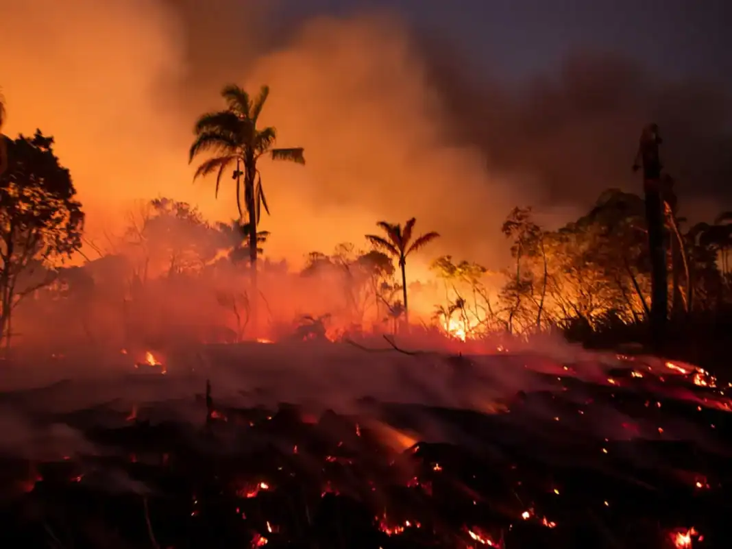 Les Naturalistes tirent la sonnette d’alarme face à la multiplication des feux de forêt