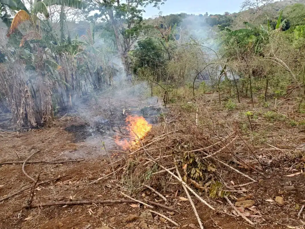 Mayotte : le syndicat Coordination rurale dénonce les brûlis illégaux