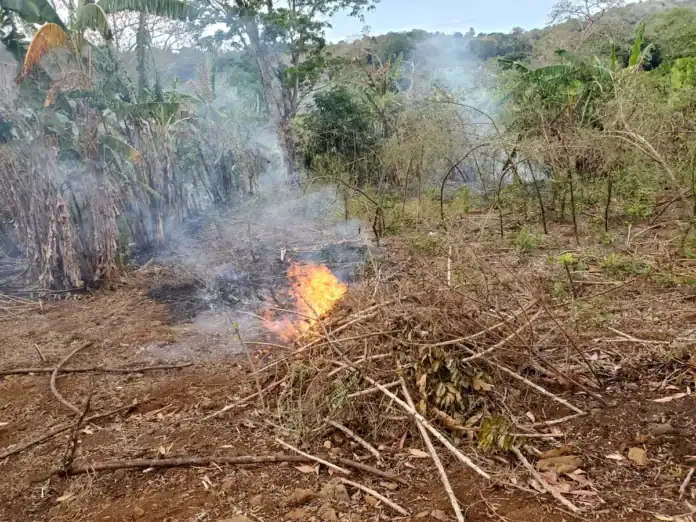 Mayotte : le syndicat Coordination rurale dénonce les brûlis illégaux