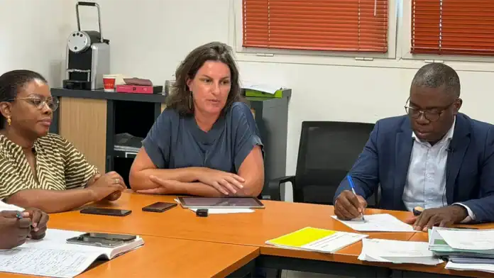 MDPH 976 - Monter en compétences pour mieux vous servir MDPH 976 - Monter en compétences pour mieux vous servir