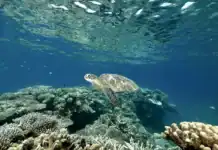 Oulanga Na Nyamba en danger : un tissu associatif fragilisé au niveau national Oulanga Na Nyamba en danger : un tissu associatif fragilisé au niveau national