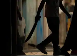 Des témoignages glaçants au troisième jour du procès en appel du meurtre de Steven Z Des témoignages glaçants au troisième jour du procès en appel du meurtre de Steven Z