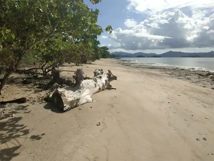 Un garçon de cinq ans se noie sur la plage des Badamiers