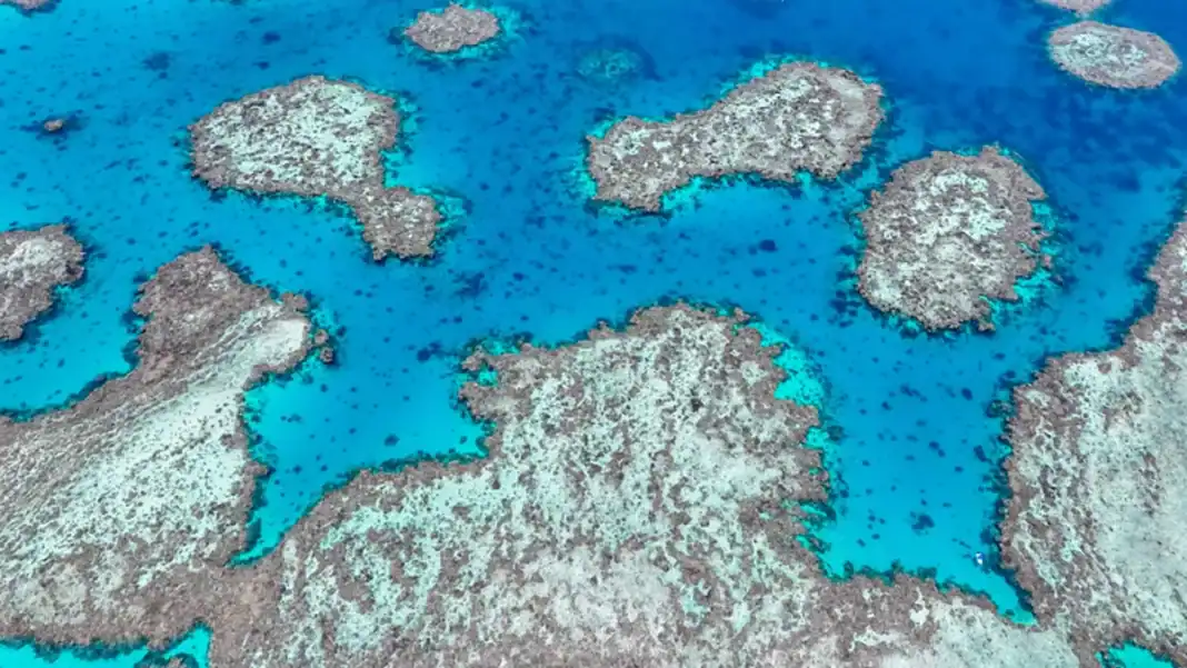 Un projet ambitieux de protection et de restauration du lagon