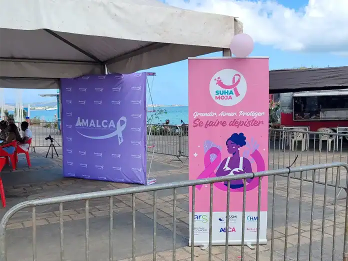 Une matinée colorée pour clore Octobre Rose