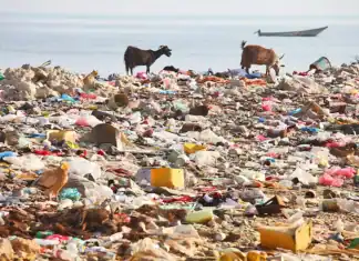 700 tonnes d’emballages recyclés par Citeo à Mayotte 700 tonnes d'emballages recyclés par Citeo à Mayotte